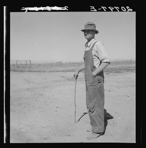 Untitled photo, possibly related to: Chris Ament, German-Russian dry land wheat farmer, who survived in the Columbia Basin. Washington, Grant County, three miles south of Quincy. See general caption number 35