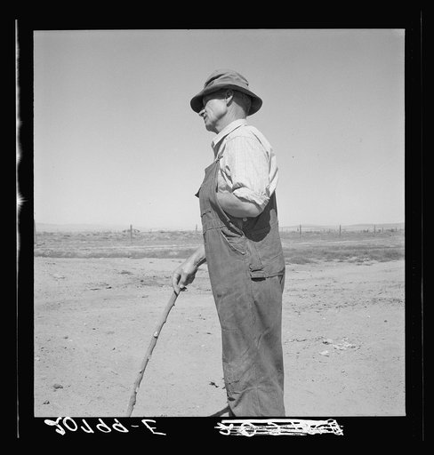 Untitled photo, possibly related to: Chris Ament, German-Russian dry land wheat farmer, who survived in the Columbia Basin. Washington, Grant County, three miles south of Quincy. See general caption number 35