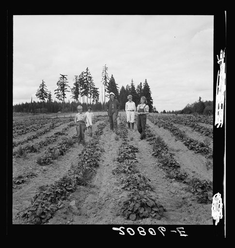 Untitled photo, possibly related to: The Arnold children and mother on their newly fenced and newly cleared land. Note strawberry plants. Western Washington, Thurston County, Michigan Hill. See general caption number 36