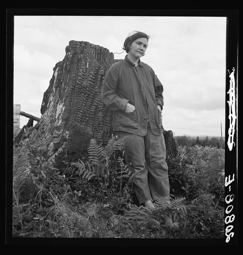 Untitled photo, possibly related to: Mrs Arnold, age thirty two, does man's work on the rough and stumpy land to build a farm. Western Washington, Thurston County, Michigan Hill. See general caption number 36