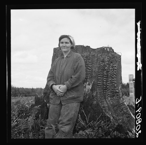 Mrs Arnold, age thirty two, does man's work on the rough and stumpy land to build a farm. Western Washington, Thurston County, Michigan Hill. See general caption number 36