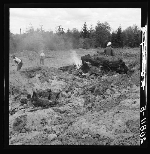 Untitled photo, possibly related to: After bulldozer has taken out and piled the heavy stumps, the family gathers the debris, roots and chunks from the field to the stump pile for burning. Negative made in rain. Western Washington, Thurston County, Michigan Hill. See general caption number 36