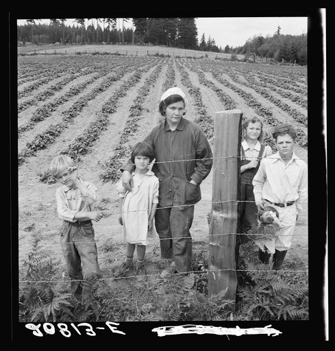 The Arnold children and mother on their newly fenced and newly cleared land. Note strawberry plants. Western Washington, Thurston County, Michigan Hill. See general caption number 36