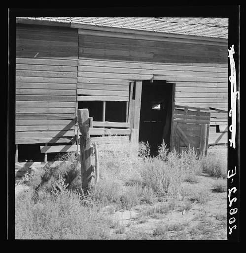 Untitled photo, possibly related to: Weeds crowd the barn door abandoned in Columbian Basin. Washington, Grant County, one mile east of Quincy. See general caption number 35