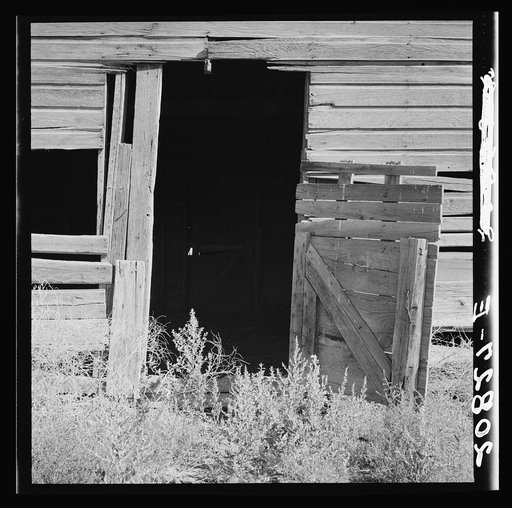 Weeds crowd the barn door abandoned in Columbian Basin. Washington, Grant County, one mile east of Quincy. See general caption number 35