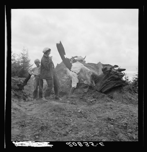 Untitled photo, possibly related to: Mrs. Arnold and her children before the stump pile. Western Washington, Thurston County, Michigan Hill. See general caption 36
