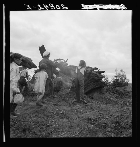Untitled photo, possibly related to: Mrs. Arnold and her children before the stump pile. Western Washington, Thurston County, Michigan Hill. See general caption 36