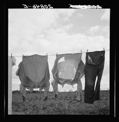 Untitled photo, possibly related to: Detail on Kytta farm. Western Washington, Thurston County, Michigan Hill
