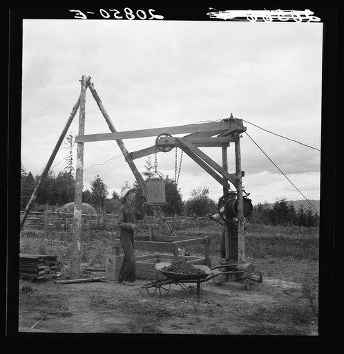 Untitled photo, possibly related to: Kytta family, Farm Security Administration (FSA) borrowers on non-commercial experiment, build a well. Michigan Hill, Thurston County, western Washington. See general caption number 36