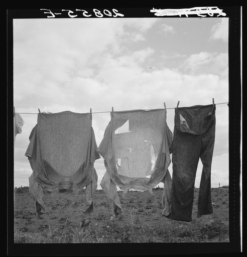 Detail on Kytta farm. Western Washington, Thurston County, Michigan Hill