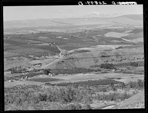 Looking down on part of the Valley, approximately six miles from Yakima. Washington, Yakima Valley. See general caption number 33