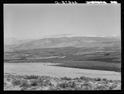 Untitled photo, possibly related to: View of Yakima Valley, Washington