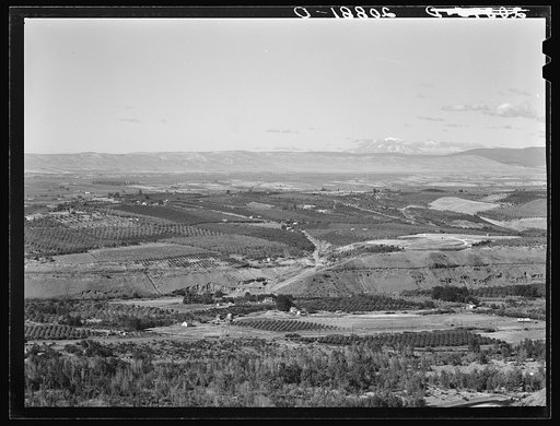 Untitled photo, possibly related to: Looking down on part of the Valley, approximately six miles from Yakima. Washington, Yakima Valley. See general caption number 33
