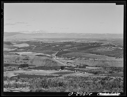 Untitled photo, possibly related to: Looking down on part of the Valley, approximately six miles from Yakima. Washington, Yakima Valley. See general caption number 33