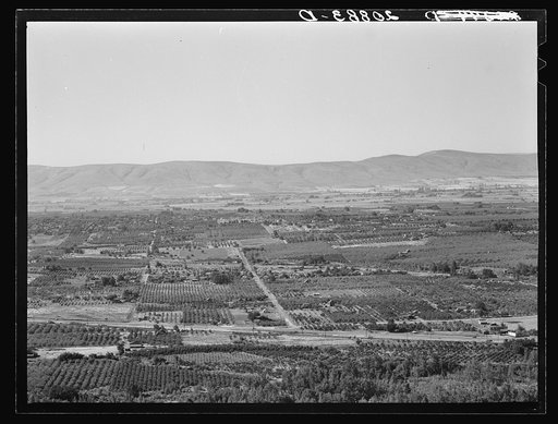 Untitled photo, possibly related to: Looking down on part of the Valley, approximately six miles from Yakima. Washington, Yakima Valley. See general caption number 33