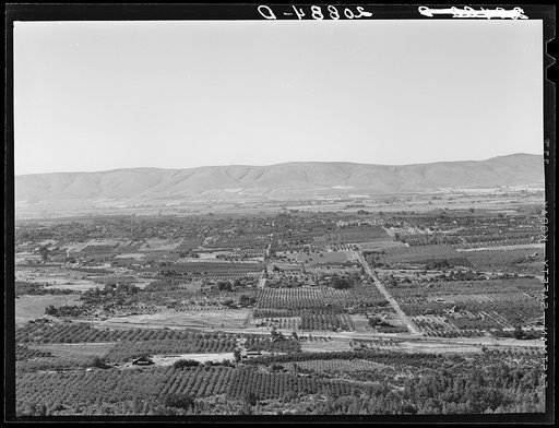 Untitled photo, possibly related to: Looking down on part of the Valley, approximately six miles from Yakima. Washington, Yakima Valley. See general caption number 33