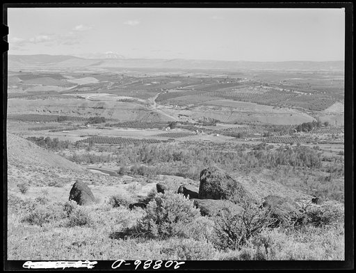 Untitled photo, possibly related to: Looking down on part of the Valley, approximately six miles from Yakima. Washington, Yakima Valley. See general caption number 33