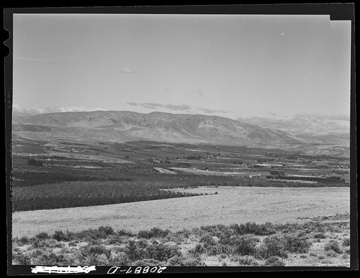 Untitled photo, possibly related to: View of Yakima Valley, Washington
