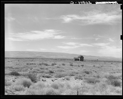 South of Quincy, Grant County, Washington. Abandoned dry land farm in the Columbia Basin. See general caption number 35