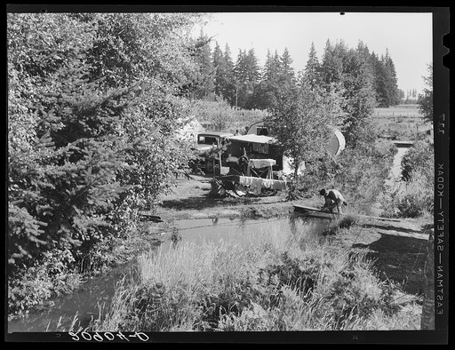 One of a dozen or more small bean pickers camps in immediate vicinity. Near West Stayton, Oregon. General caption number 46