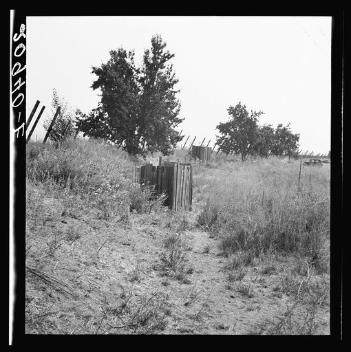 Untitled photo, possibly related to: Toilets provided for hop pickers in grower's camp. Near Grants Pass, Josephine County, Oregon. General caption number 45-11