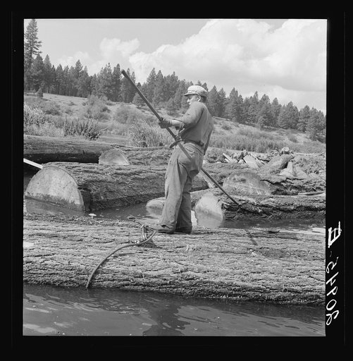 "Pond monkey" steers log raft in mill pond. Keno, Klamath County, Oregon. General caption number 61