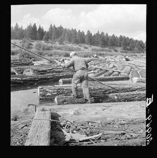 Untitled photo, possibly related to: "Pond monkey" steers log raft in mill pond. Keno, Klamath County, Oregon. General caption number 61