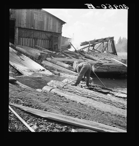 Untitled photo, possibly related to: "Pond monkey" steers log raft in mill pond. Keno, Klamath County, Oregon. General caption number 61