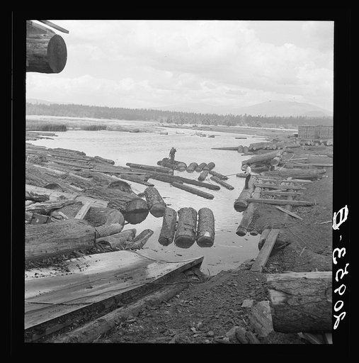 Mill pond. Klamath River beyond. Log rafts and log chute to the mill. Keno, Klamath County, Oregon. General caption number 61