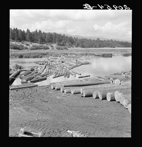 Untitled photo, possibly related to: Mill pond. Klamath River beyond. Log rafts and log chute to the mill. Keno, Klamath County, Oregon. General caption number 61
