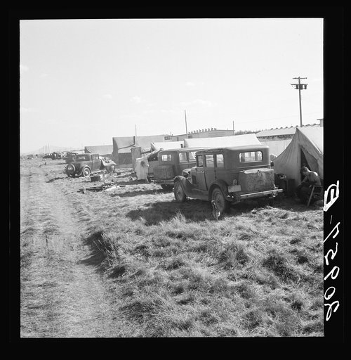 Untitled photo, possibly related to: Living conditions for migrant potato pickers. Tulelake, Siskiyou County, California. General caption number 63-1