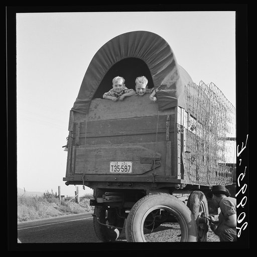 Just arrived from Kansas. On highway going to potato harvest. Near Merrill, Klamath County, Oregon