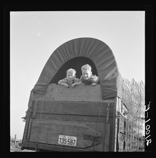 Just arrived from Kansas. On highway going to potato harvest. Near Merrill, Klamath County, Oregon