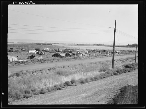 Camp of migrant potato pickers seen from potato shed across the road. Siskiyou County, California. General caption number 63-1