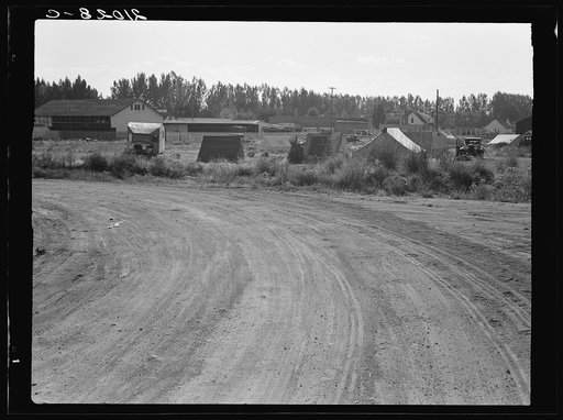 Squatter camp entering potato town. Malin, Klamath County, Oregon. General caption number 64