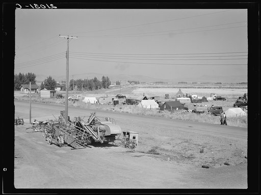 Camp of migrant potato pickers seen from the packing shed. Tulelake, Siskiyou County, California. General caption number 63-1