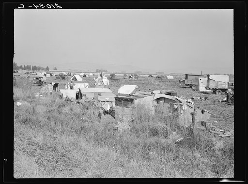 Potato pickers' camp. Tulelake, Siskiyou County, California. General caption number 63-1