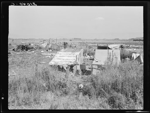 Potato pickers' camp. Tulelake, Siskiyou County, California. General caption number 63-1