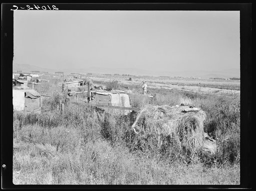 Potato pickers' camp. Tulelake. Siskiyou County, California. General caption number 63-1