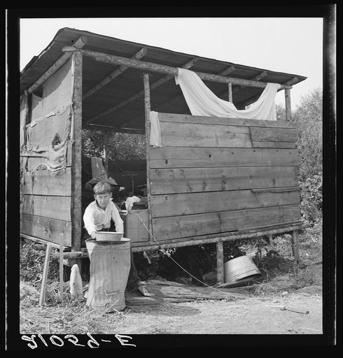 Grower provides fourteen such shacks in a row for his hop pickers. Josephine County, Oregon. Near Grants Pass, Josephine County, Oregon. General caption number 45-11