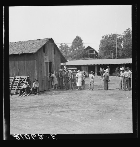 Part of the lineup at paymaster's window at noon. Hop pickers are paid off daily. Near Grants Pass, Josephine County, Oregon. General caption number 45-11