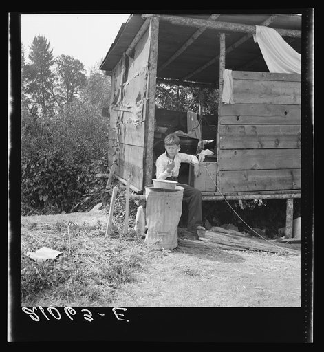 Untitled photo, possibly related to: Grower provides fourteen such shacks in a row for his hop pickers. Josephine County, Oregon. Near Grants Pass, Josephine County, Oregon. General caption number 45-11