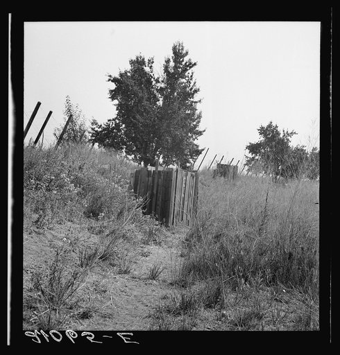 Toilets provided for hop pickers in grower's camp. Near Grants Pass, Josephine County, Oregon. General caption number 45-11
