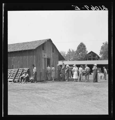 Untitled photo, possibly related to: Part of the lineup at paymaster's window at noon. Hop pickers are paid off daily. Near Grants Pass, Josephine County, Oregon. General caption number 45-11
