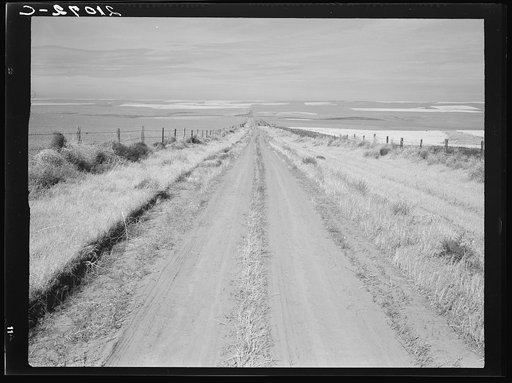 Western wheat country in a region which yields over twenty five bushels to the acre. Banks, mortgage companies and insurance companies own many farms in this area. Umatilla County, Oregon