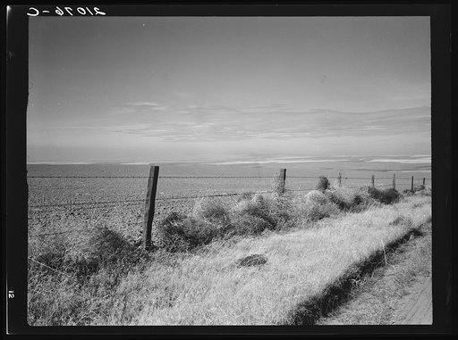 West wheat country in a region where yields are over twenty five bushels to the acre. Banks, mortgage companies, and insurance companies own many farms in this area. Umatilla County, Oregon