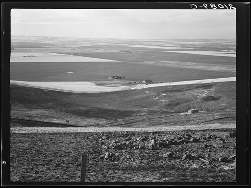Untitled photo, possibly related to: Looking down the newly plowed wheat fields of the Umatilla Valley, Oregon. Thirteen miles south of Pendleton, Umatilla County, Oregon