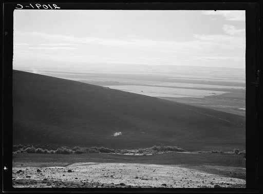 Umatilla Valley wheat farms. Umatilla County, Oregon