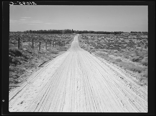 Road leading to small farm in northern Oregon. Irrigon, Morrow County, Oregon. General caption number 59