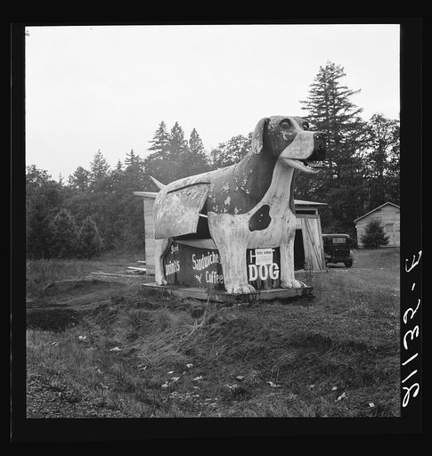 Untitled photo, possibly related to: On U.S. 99 as it continues through Oregon. Lane County, Williamette Valley, Oregon